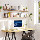 A well-lit workspace featuring a wooden desk and long office shelves, neatly arranged with books and greenery.