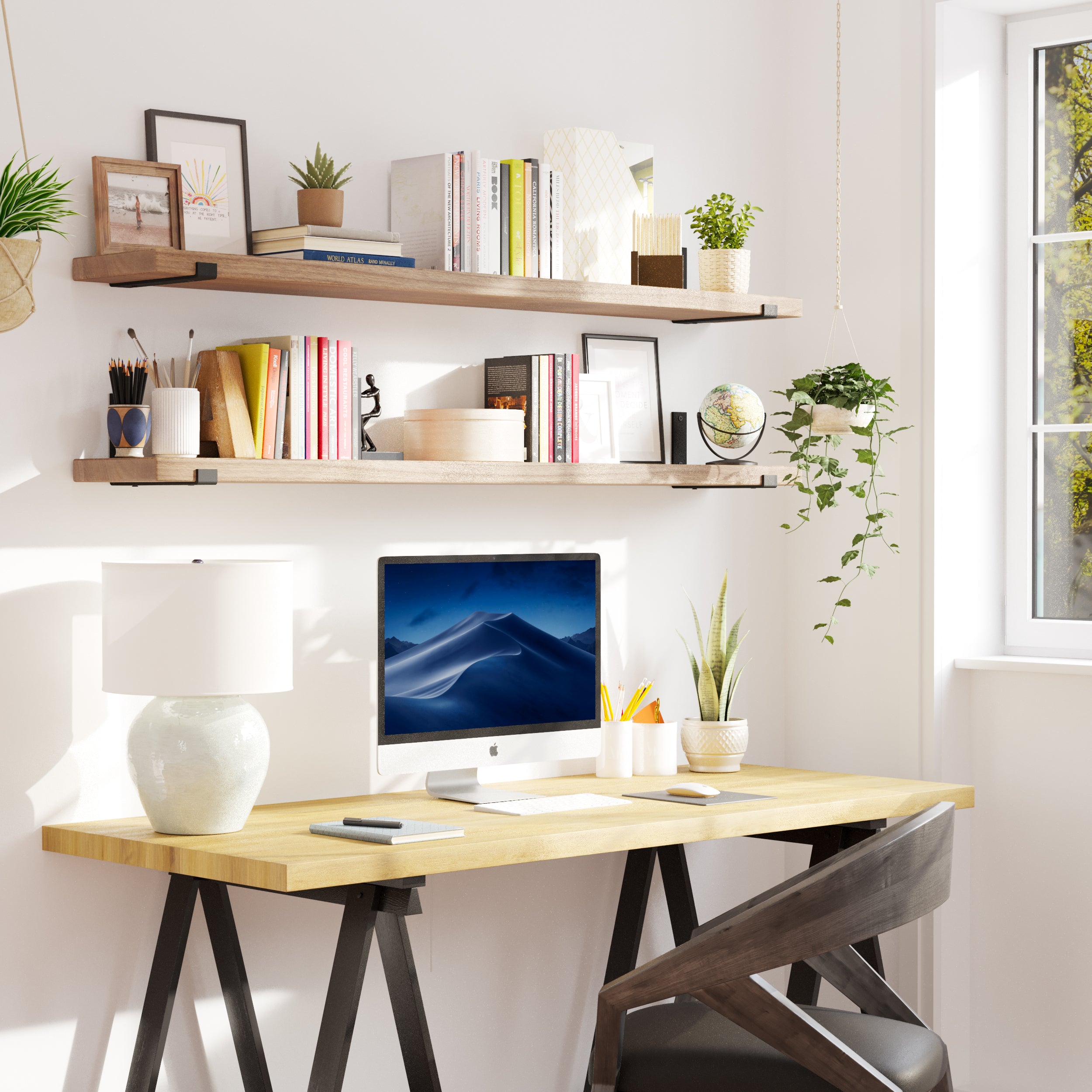 A well-lit workspace featuring a wooden desk and long office shelves, neatly arranged with books and greenery.