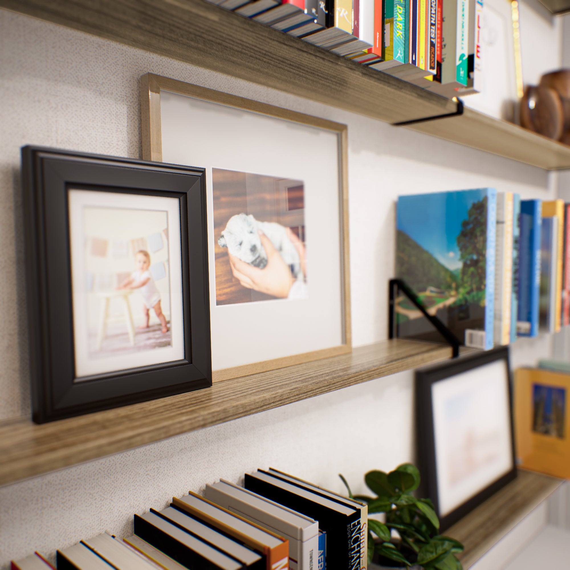 Close-up of a plant shelf showcasing a mix of framed photos, books, and small decorative pieces.