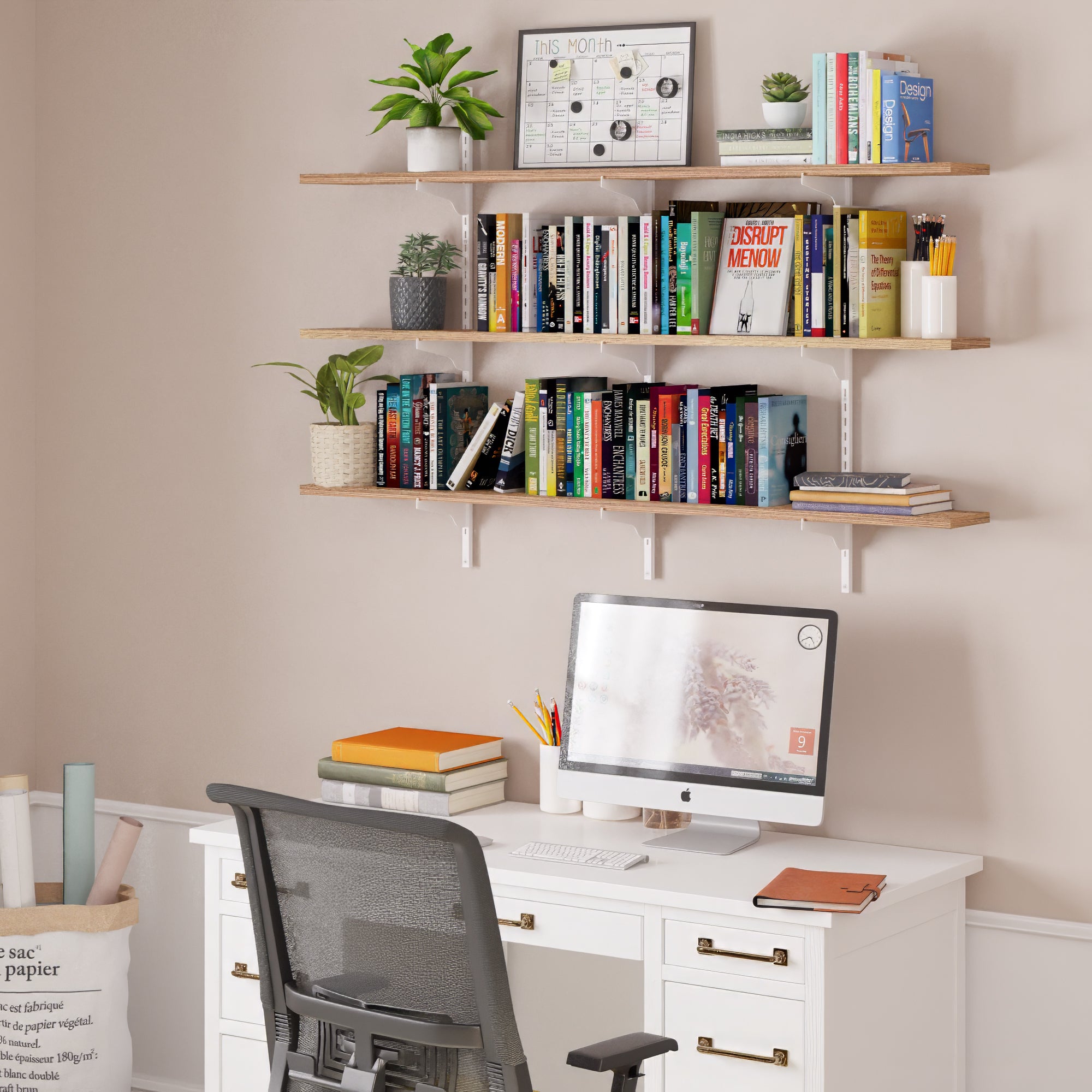 Home office with a desk, computer, and office storage shelves filled with books and plants.