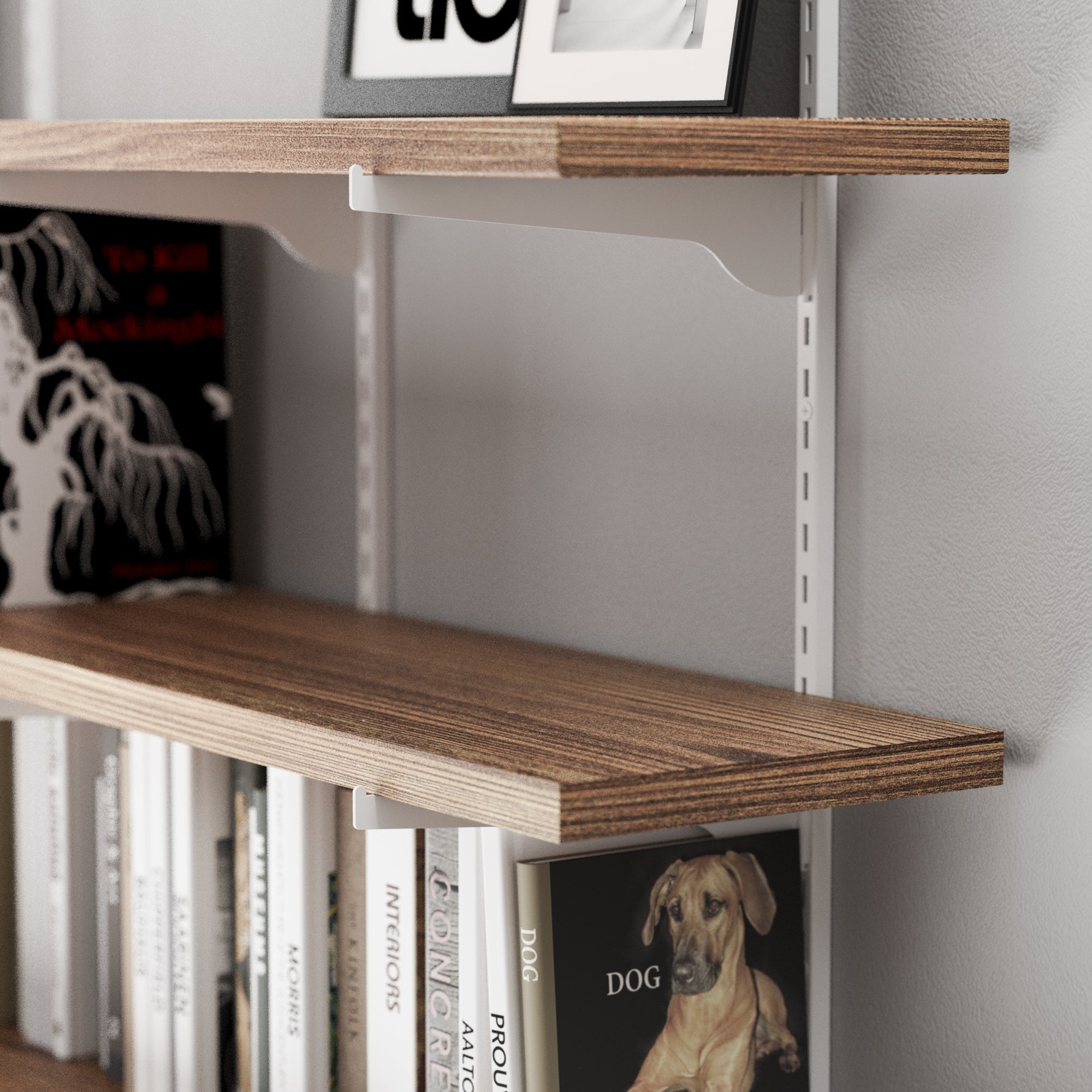 Floating storage shelf with heavy duty metal brackets and rails with books and a dog picture on a gray wall