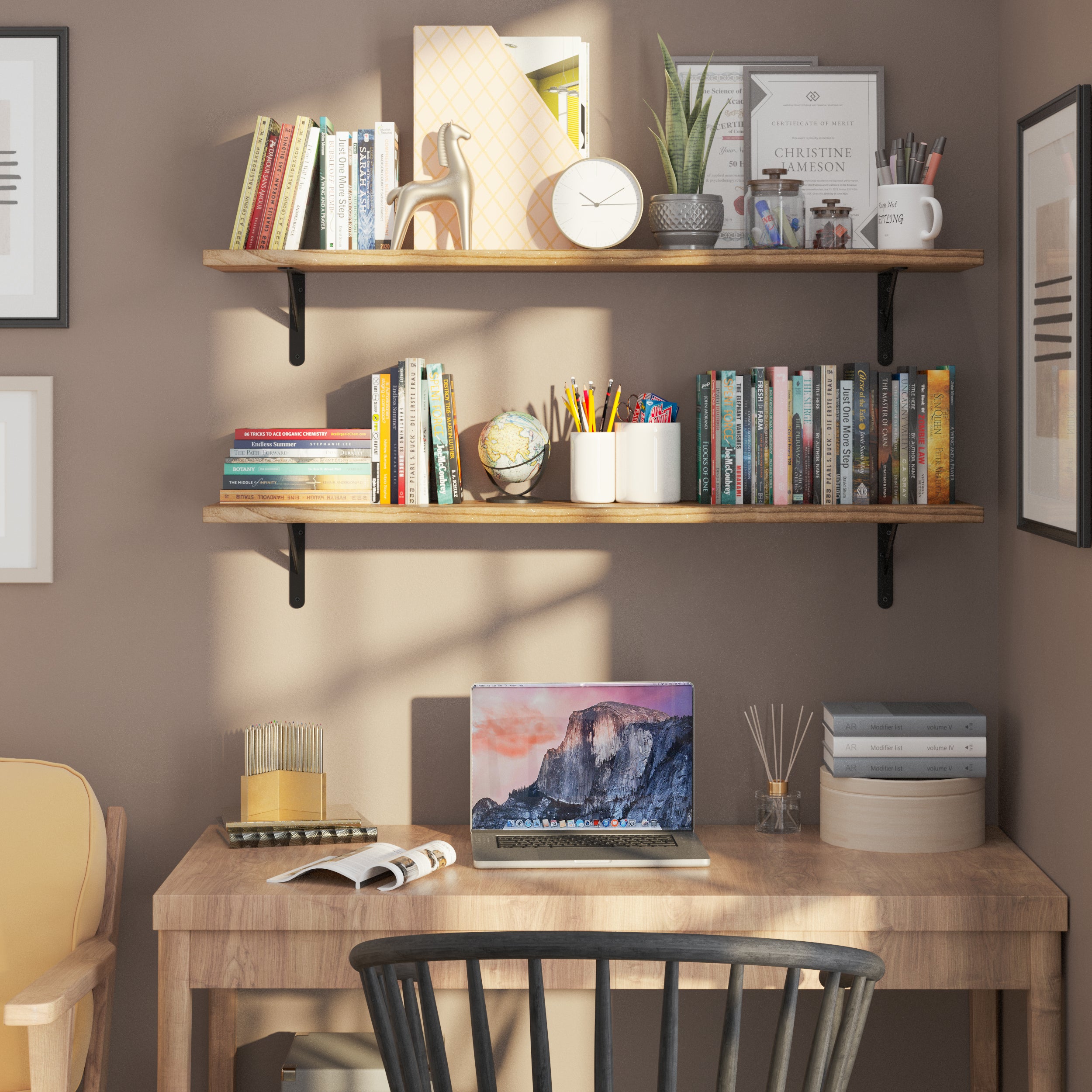 Two boho book shelves with burnt finish on a brown accent wall, styled with books, plant, and decor items. Perfect for a home office or study with a vibrant, sophisticated look.