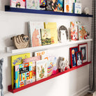 a children's room with three shelves mounted on the wall, showcasing a variety of colorful books. The shelves are color-coded, with the top shelf in blue, the middle in white, and the bottom in red. Below the shelves, there is a soft toy shaped like a dog lying on a striped rug. The room's overall design is playful and cozy, with elements like a clock, framed pictures, and stuffed animals enhancing the space.