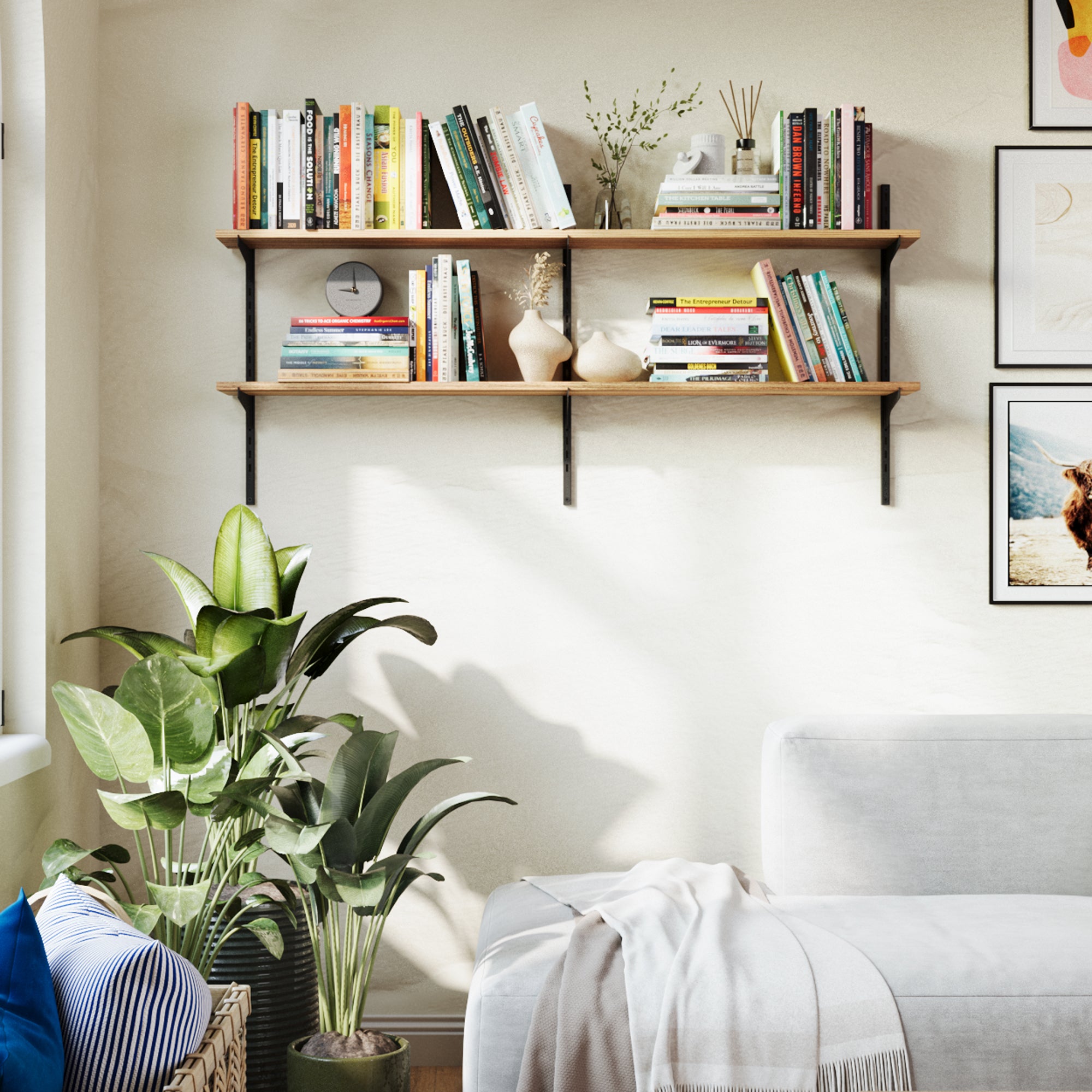 Living room setup with wall bookshelf, plant, and sofa