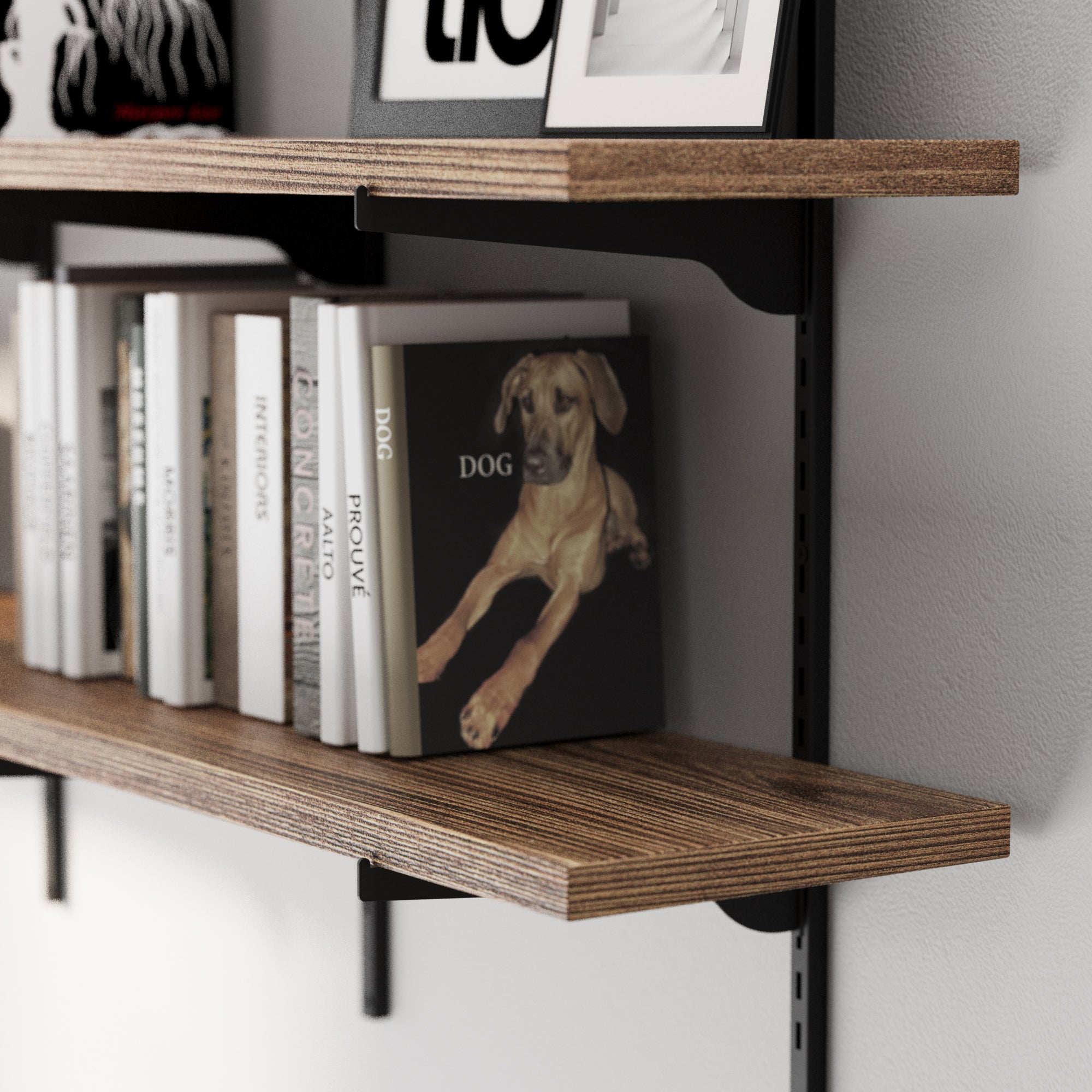Wooden shelves with books and a framed picture of a dog on a gray wall.