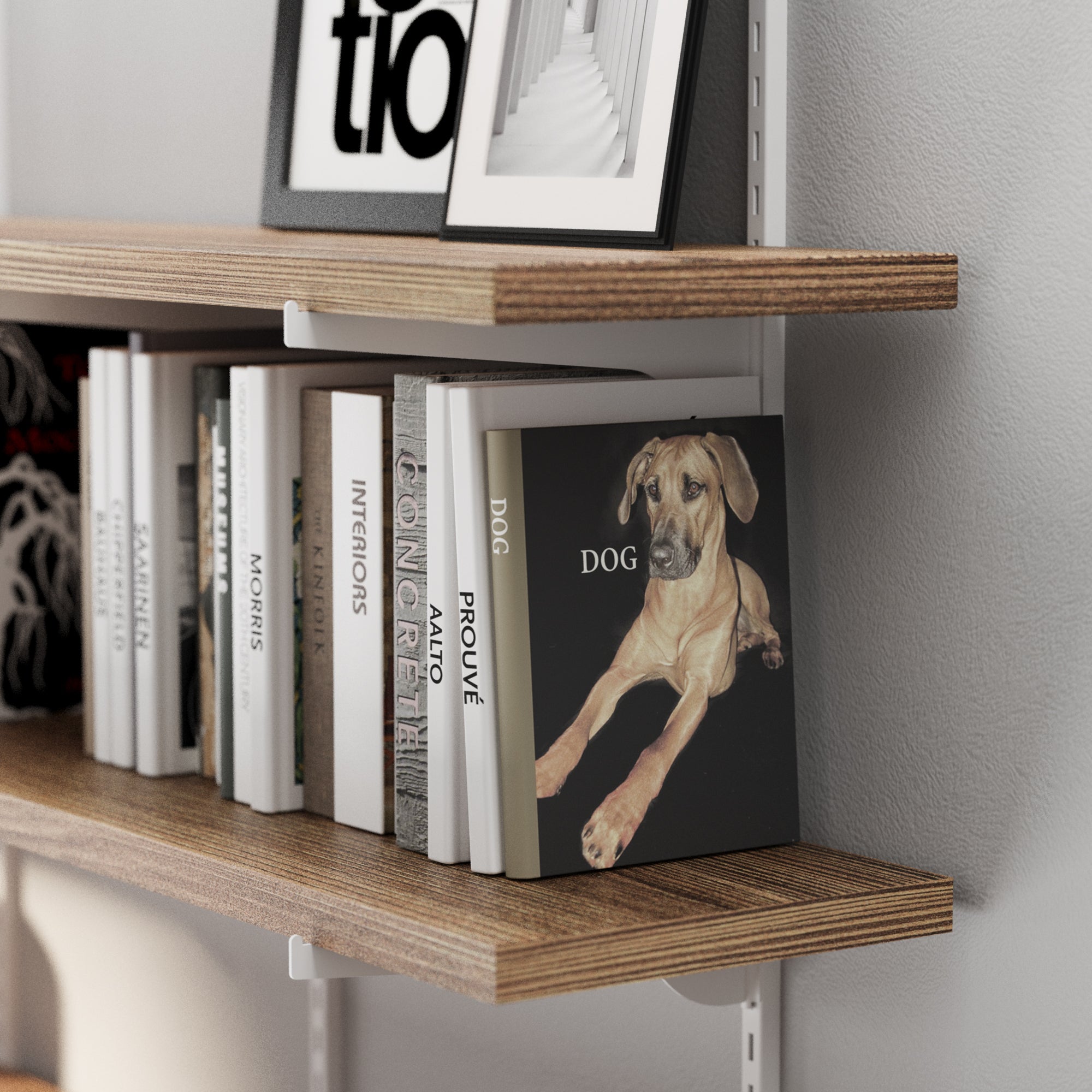 Farmhouse adjustable shelf with books and a framed picture of a dog on a gray wall.
