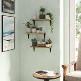 ARRAS 14" x 6" Rustic Floating Shelves and Wall Bookshelf for Living Room Decor - Set of 3 - Wallniture