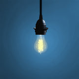 FIORE Hanging Lantern Cord Room Decor for Pendant Light Bulbs Socket - 15 Feet - Set of 1 or 5 - Black - Wallniture